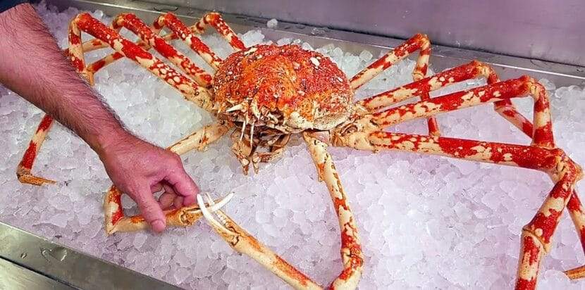 crab legs near me on sale​