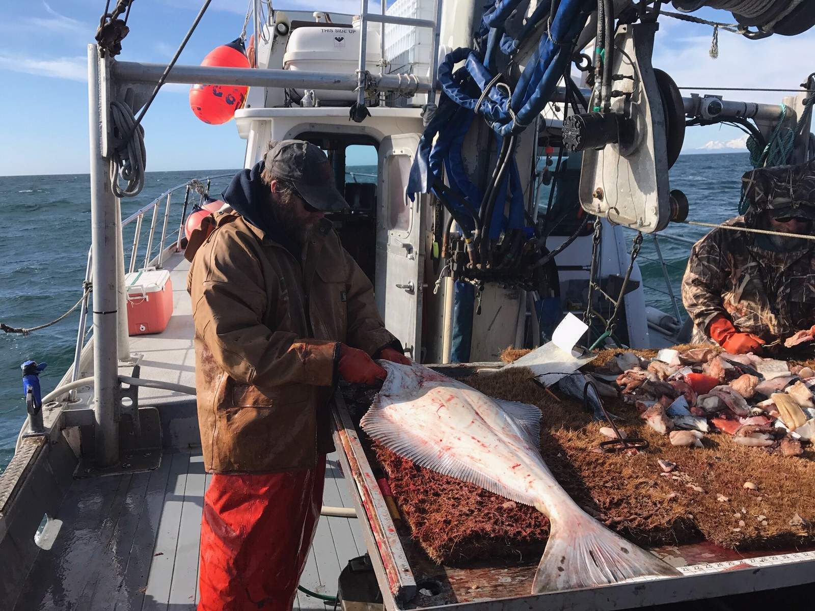 Halibut Per Pound Price​