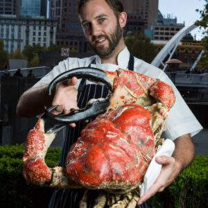 Tasmanian Giant Crab