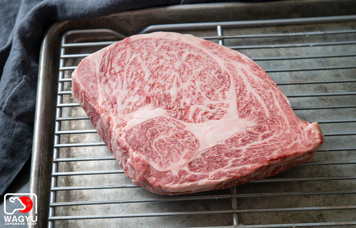 hokkaido wagyu | a5 wagyu beef ribeye steak (thick cut)