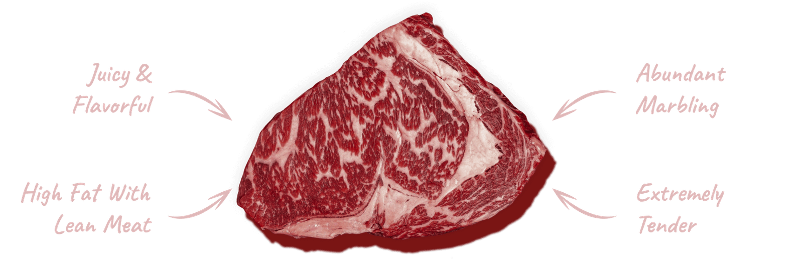 usda beef grades