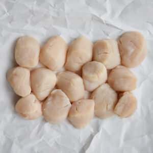 sea scallops for sale