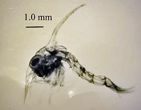 b705fa dd206620394043d8a880a8c8c3821855~mv2