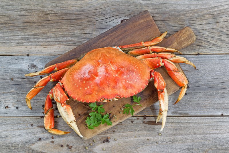 where to buy dungeness crab