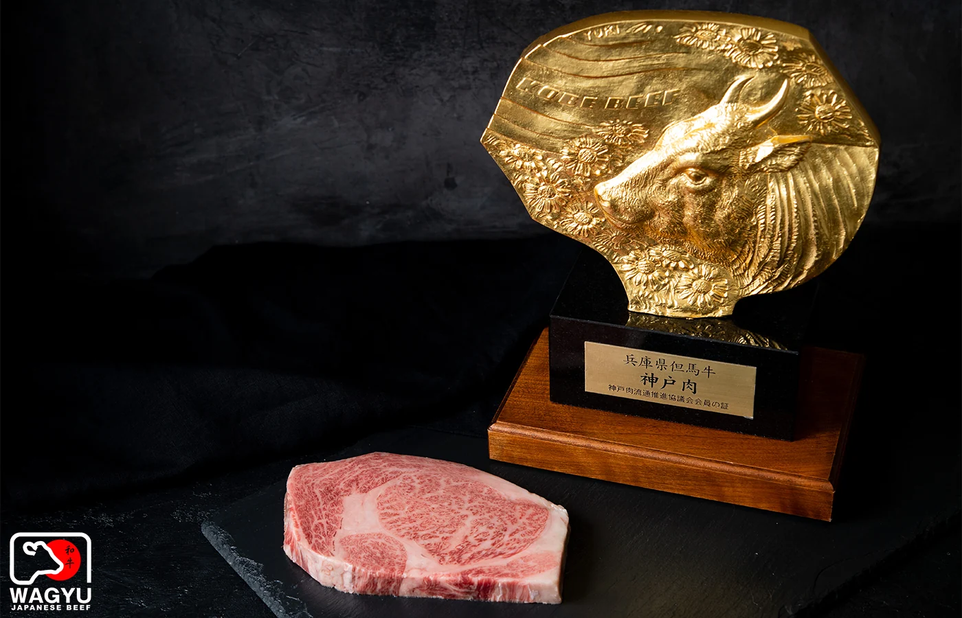 wagyu beef buy