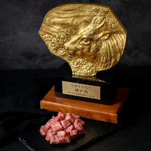 wagyu beef for sale