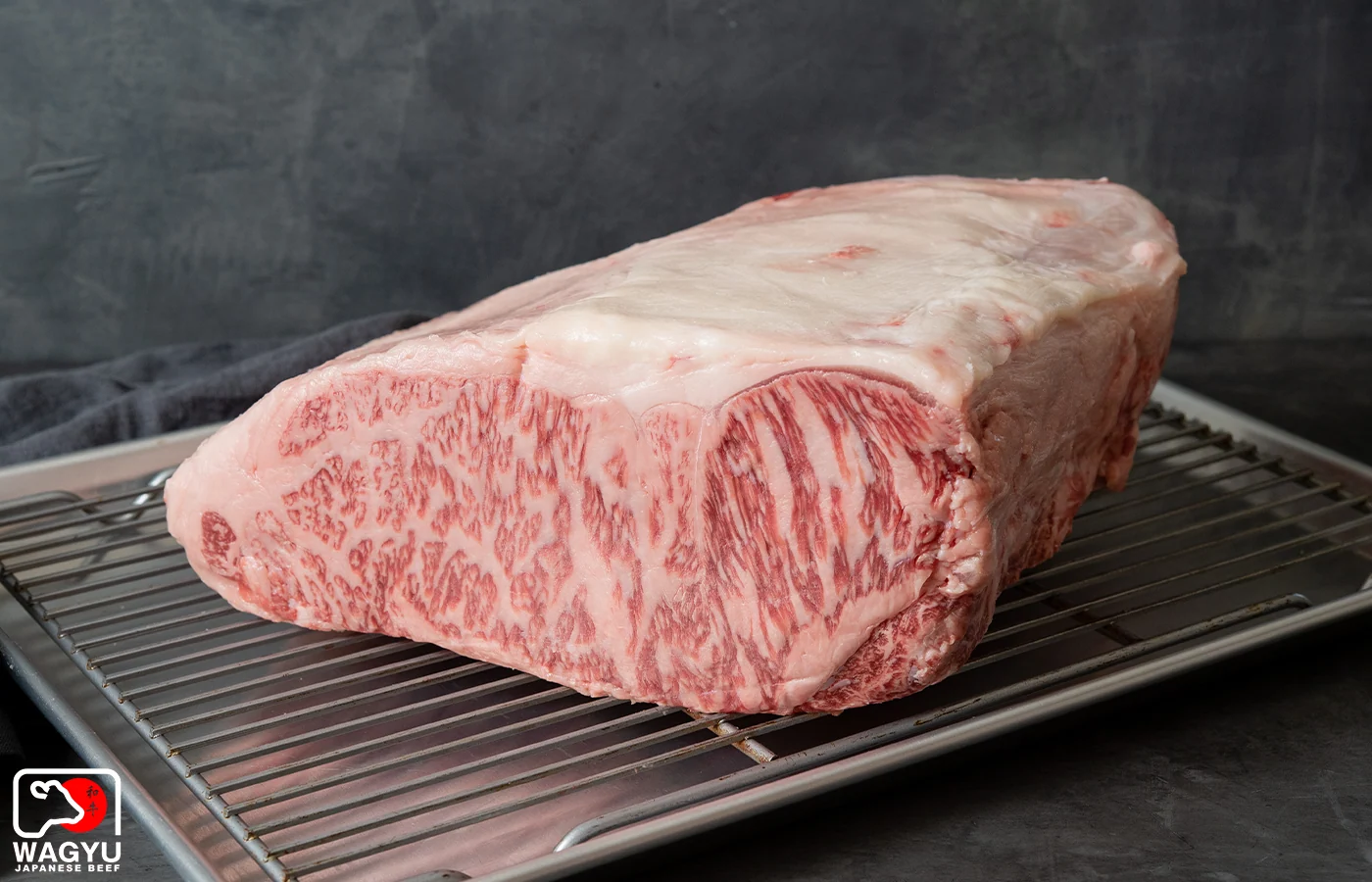wagyu-wholesale