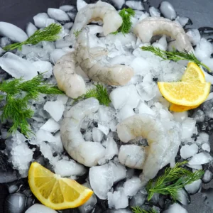 Super Tiger Shrimp for Sale