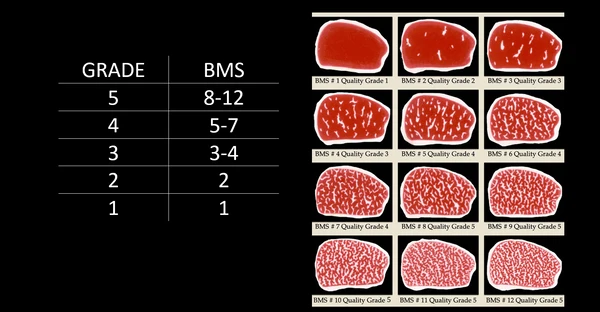 wagyu beef grades