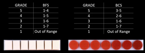 wagyu beef grades
