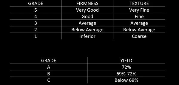 wagyu beef grades