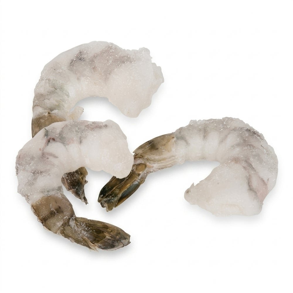 super tiger shrimp for sale
