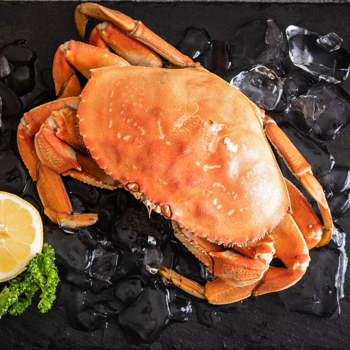 dungeness crab for sale