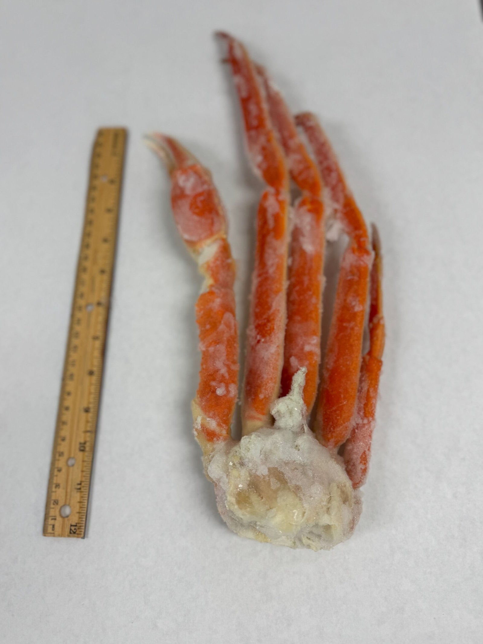 snow crab clusters for sale