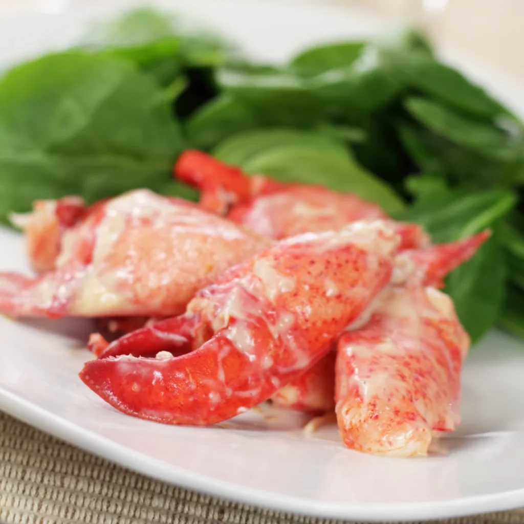 Canada Lobster Meat