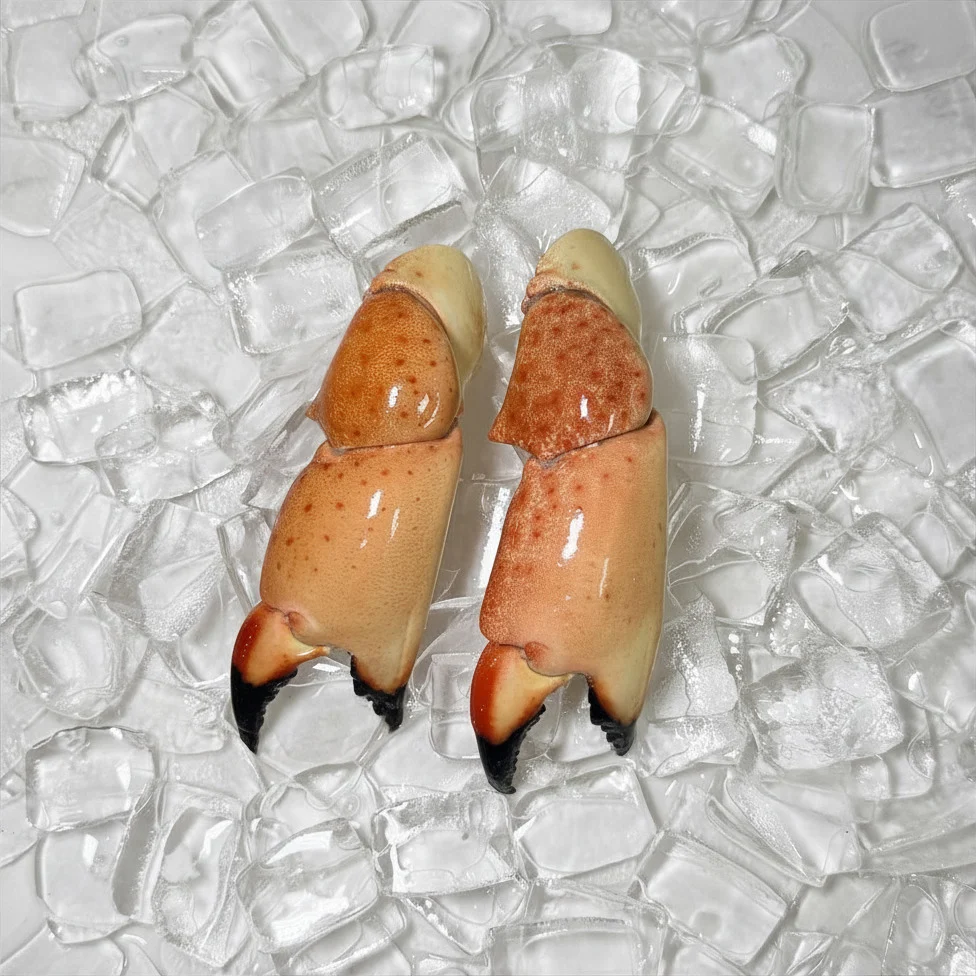 Stone Crab for Sale