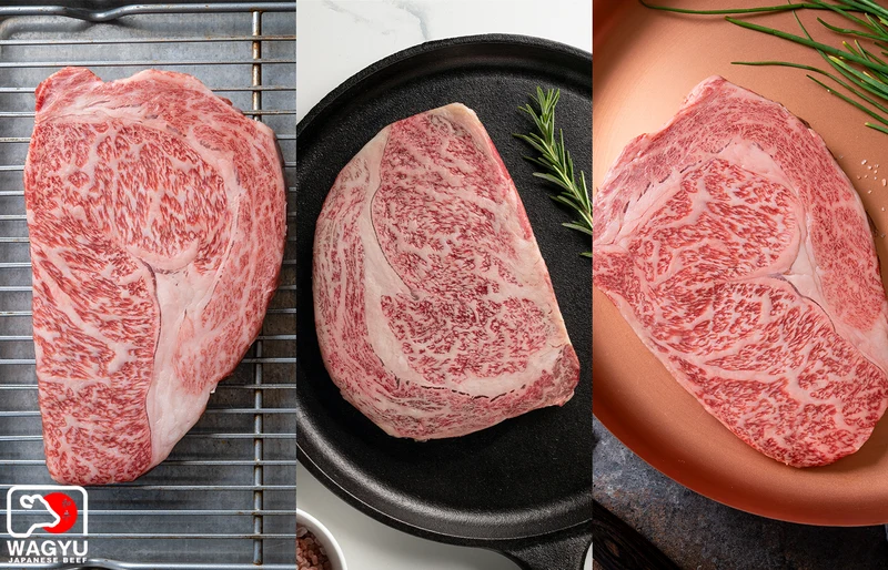 prime ribeye