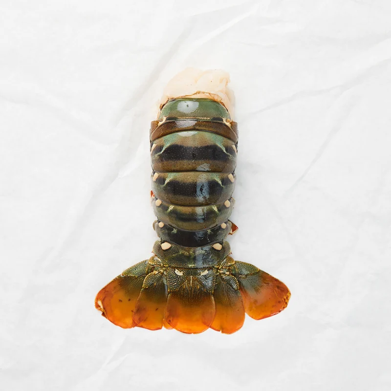 lobster-tail-for-sale