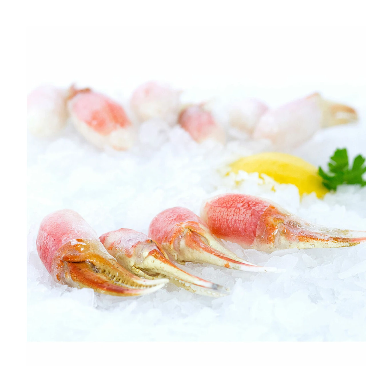 snow crab cocktail claws