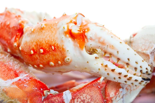 Frozen Crab Meat