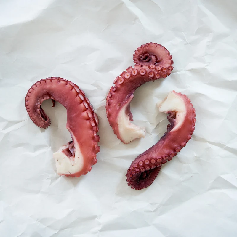 octopus-buy