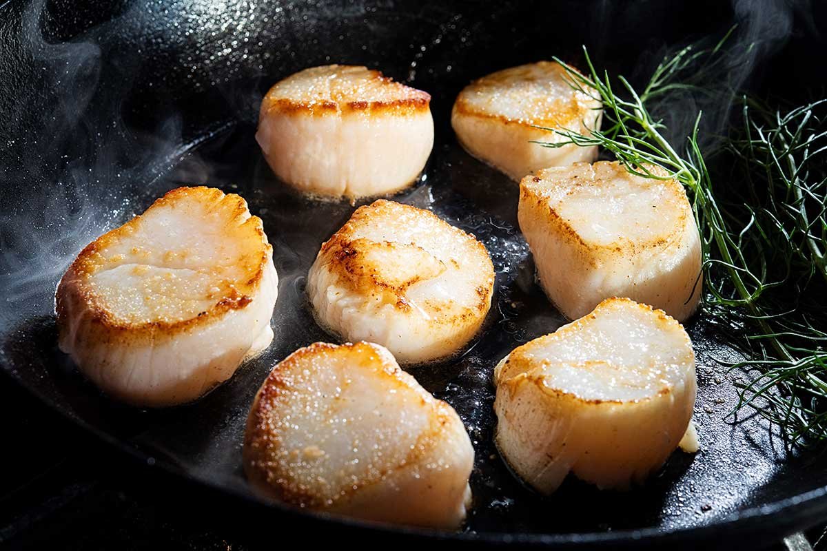 wild caught sea scallops