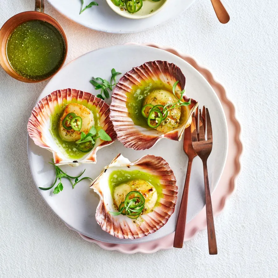 where can i buy dry scallops near me