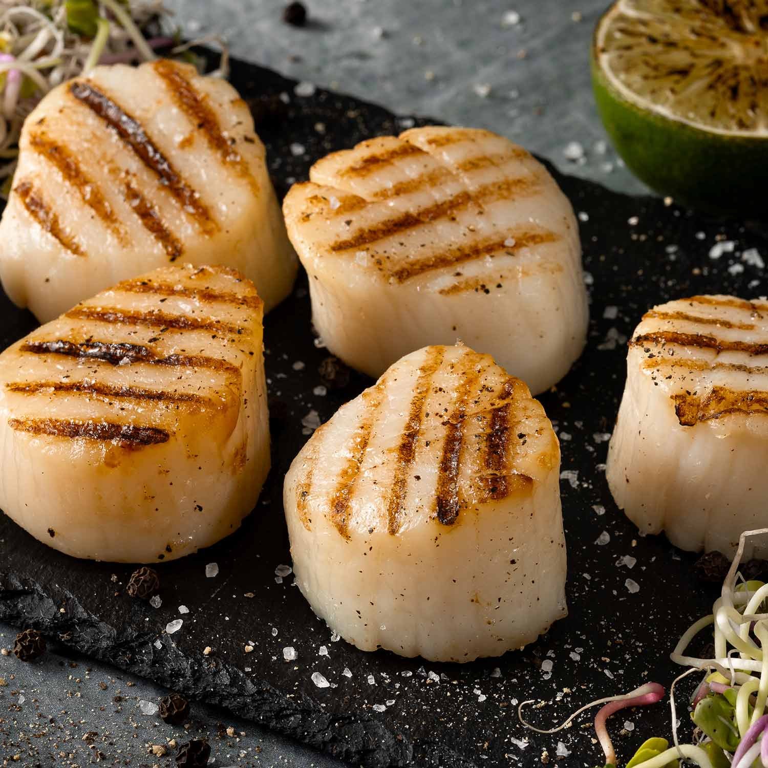 sea scallops for sale