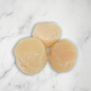 Where Can I Buy Dry Scallops Near Me