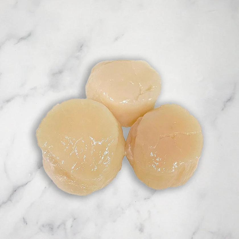 Where Can I Buy Dry Scallops Near Me