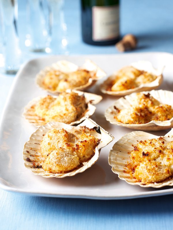fresh scallops in shell