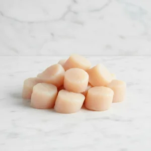 Fresh Scallops